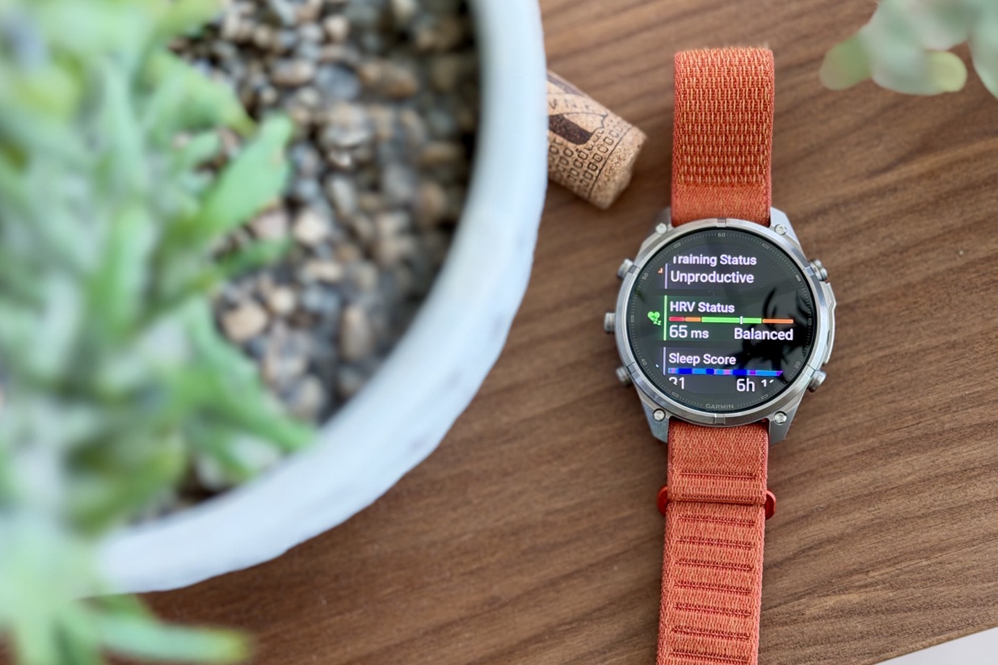 Garmin Fenix9 Basics.