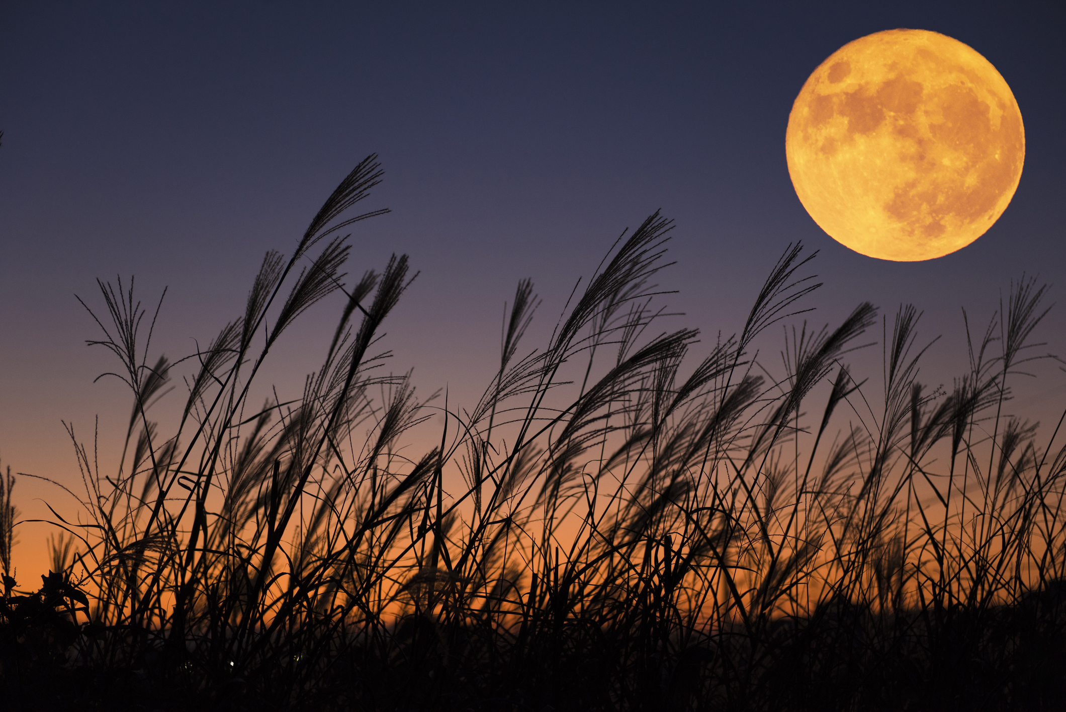 How to photograph the Harvest Moon. Credit: Beautiful Fireworks / Getty Images