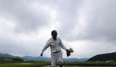 Japan went from a rice shortage to a rice surplus in two years, due to drought, tourism and the U.S.