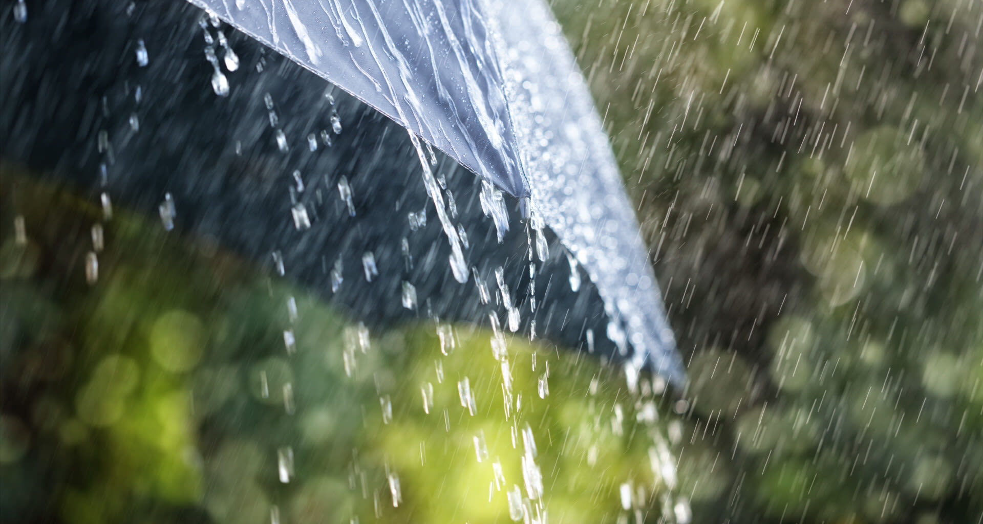 Tomorrow's Weather Edmonton (Sep 22): Clear Skies, Evening Rain Ahead
