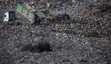 EU approves sending mountains of trash to Turkey despite environmental fears – POLITICO