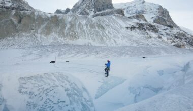 A mountain guide charts a path down the Athabasca Glacier in Jasper National Park.