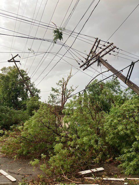 Several fallen trees in River Heights