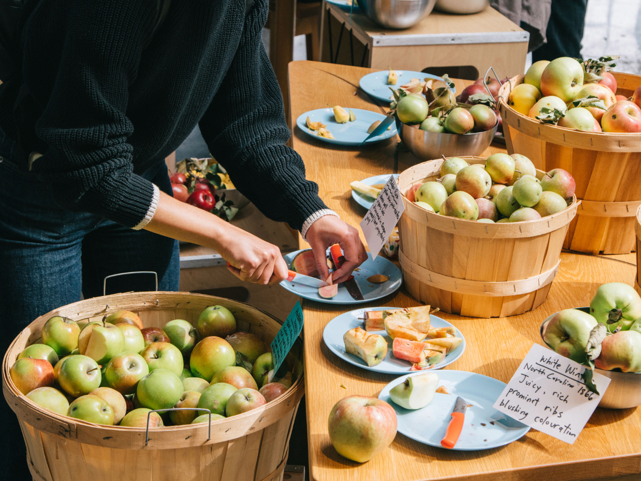 Enjoy an evening of art, apples and agriculture – City of Mississauga