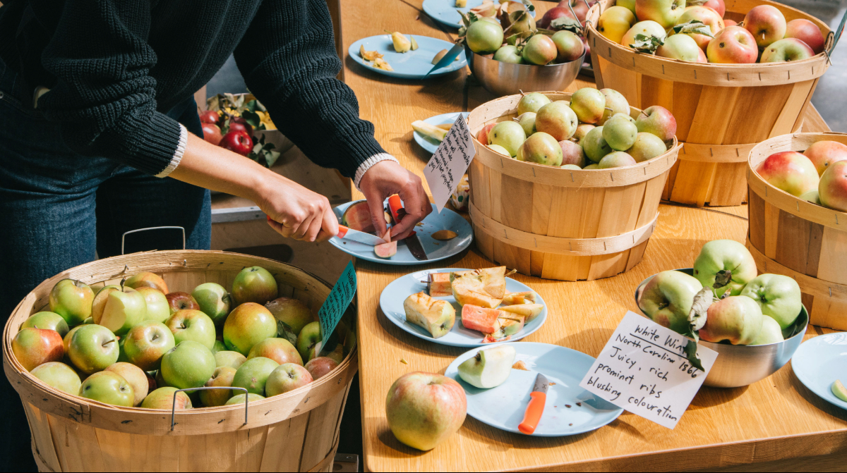 A person cuts up an apple on a plate.