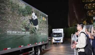 Panda diplomacy: China lends animals to U.S. for foreign ties - CTV News