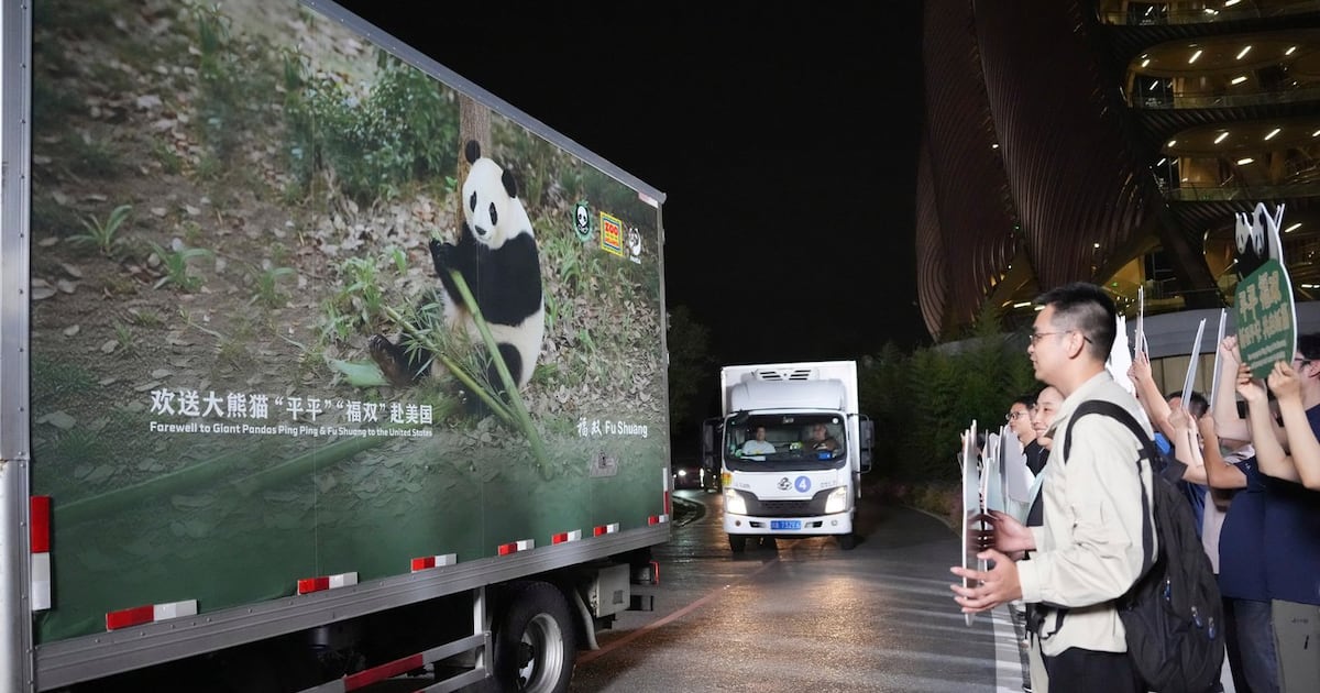 Panda diplomacy: China lends animals to U.S. for foreign ties - CTV News