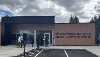 New Vancouver Island Animal Behaviour Centre prepares to open doors this fall