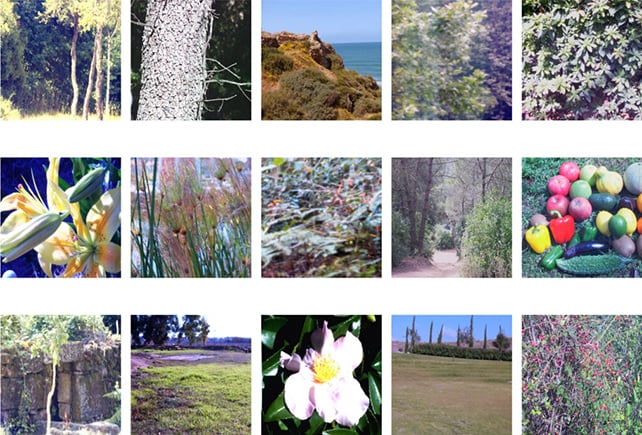 Image samples