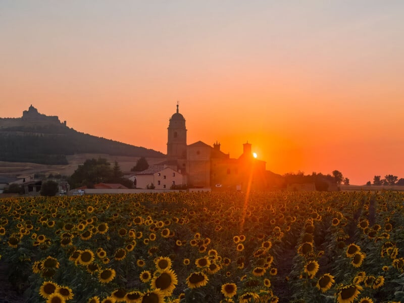 A field of sunflowers in the foreground under a vibrant orange sunset, with a church and a distant hilltop castle in the background.