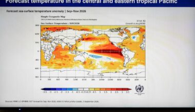 Supercharged El Niño heading for record strength; Canada’s winter may ‘take a holiday,’ climatologist says - CTV News