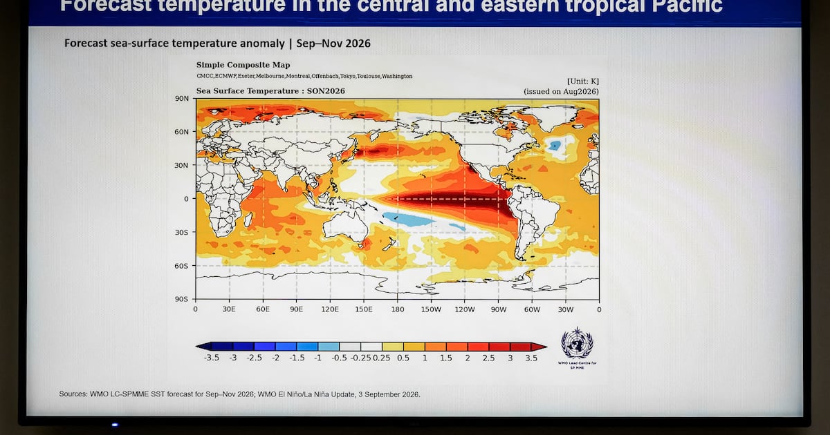 Supercharged El Niño heading for record strength; Canada’s winter may ‘take a holiday,’ climatologist says - CTV News