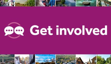 Help shape your future council websites
