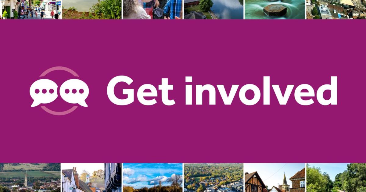 Help shape your future council websites