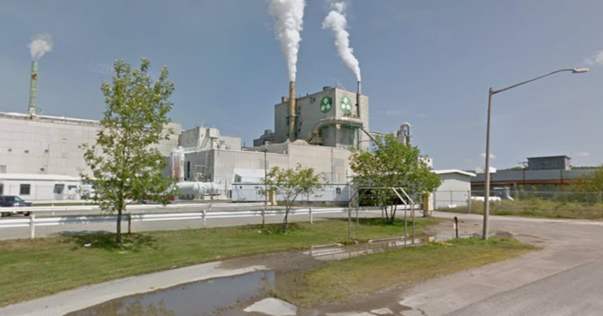 New Brunswick pulp mill ‘temporarily’ closing operations due to market issues - ctvnews.ca