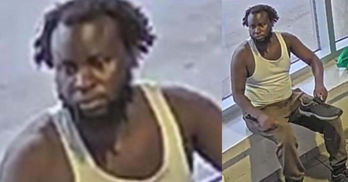 Brampton stranger sexual assaults: suspect wanted