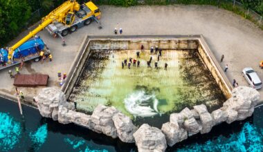Fourth Marineland whale dies after relocation from Niagara Falls park