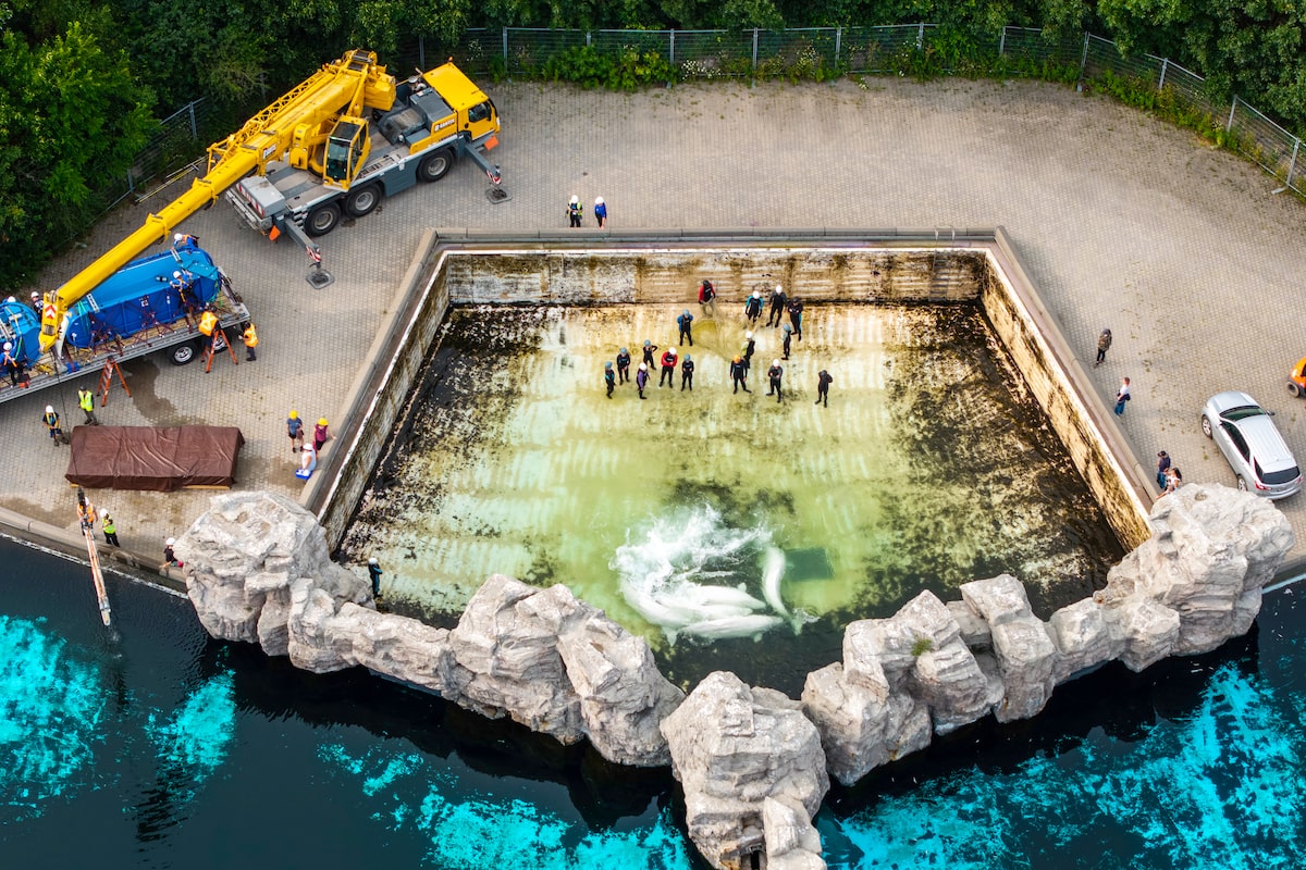 Fourth Marineland whale dies after relocation from Niagara Falls park