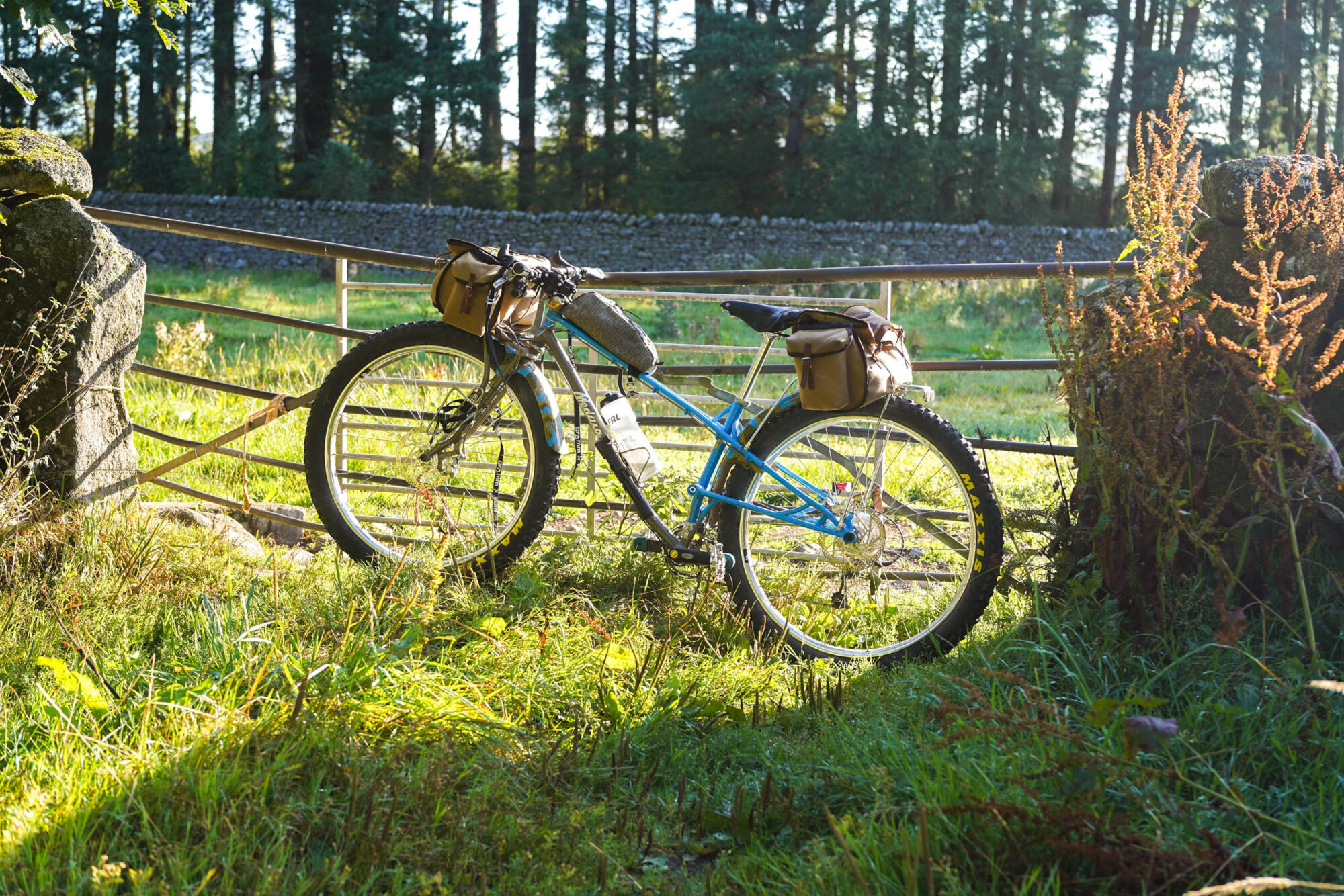 Medusa Cycles Kangal, Medusa Kangal