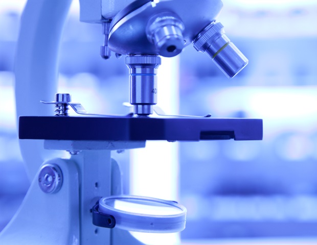 Scientists discover tiny protein region that shapes tooth enamel