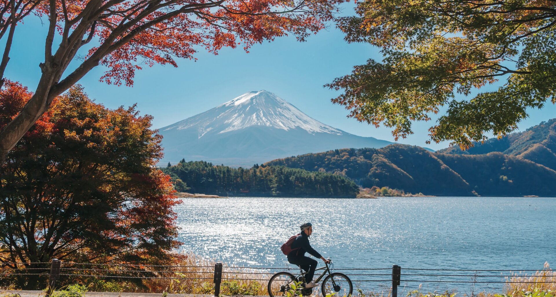 Lonely Planet’s new Epic Bike Trips of the World puts Australia firmly on the cycling map