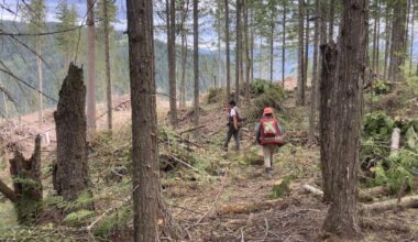 B.C. budgets $15 million for FireSmart projects in 2027