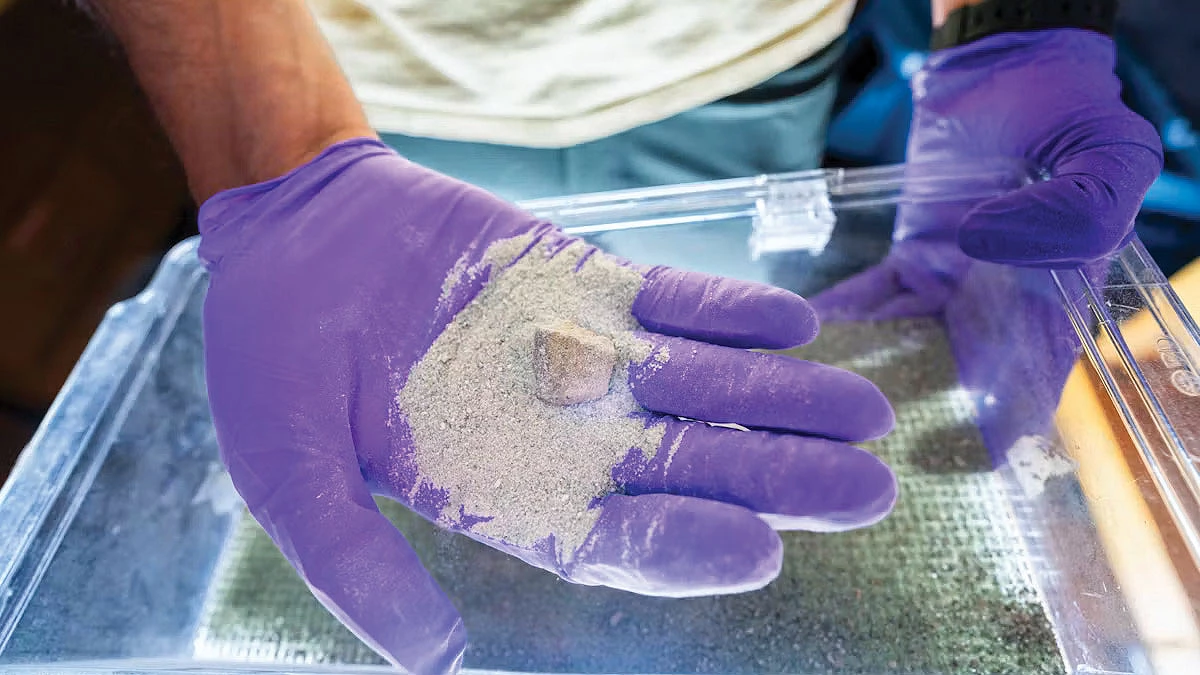 Researchers engineered <i>Alteromonas macleodii</i> bacteria to boost production of siderophores, which clear rust from olivine (the mineral in the gloved hand) and lead it to continue dissolving in seawater.