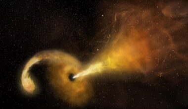 Black holes don’t eat everything. Here’s what scientists found - ctvnews.ca
