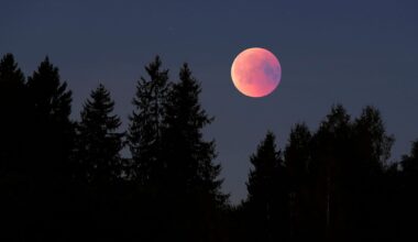 Calgary partial lunar eclipse: Time, viewing guide, and more