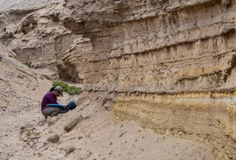 Priscilla Martinez at the Fossil Site in Caldera, Chile