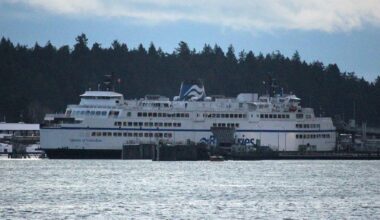 Building new B.C. ferries in China cost Canada $1.5B in lost GDP, report finds