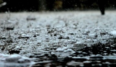 Sept. 5 weather: Showers and thunderstorms possible in parts of southern Ontario