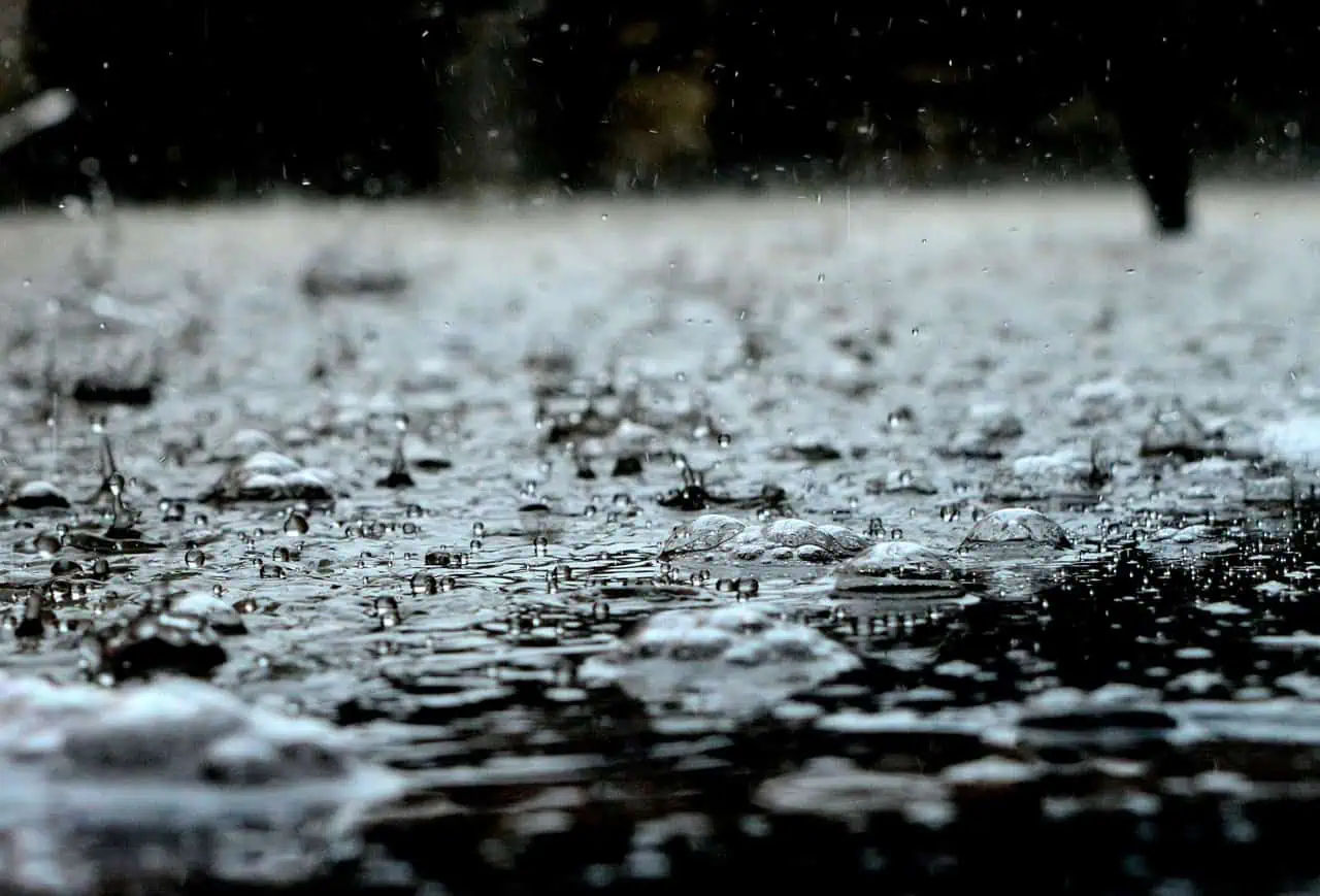 Sept. 5 weather: Showers and thunderstorms possible in parts of southern Ontario
