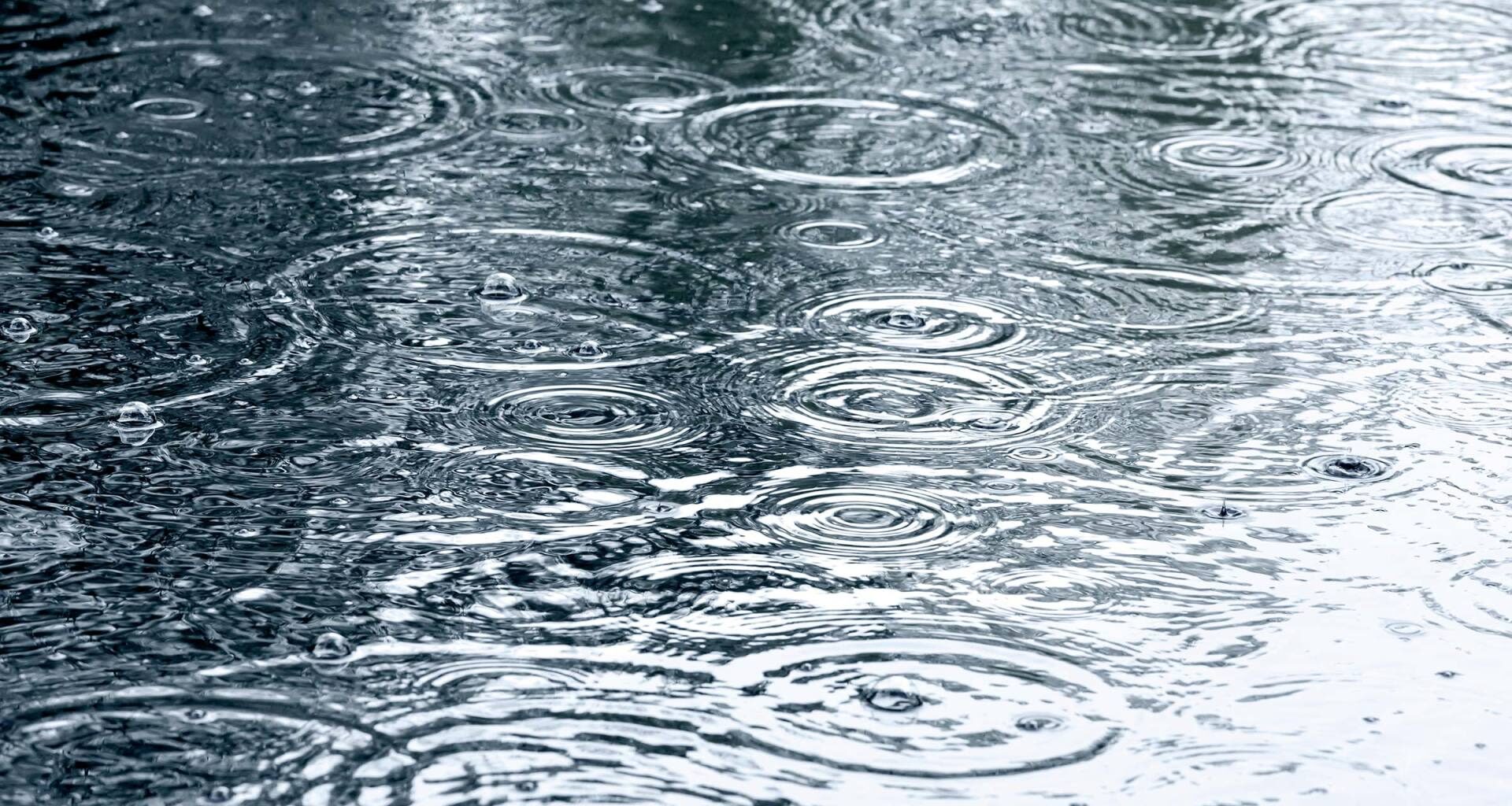 Tomorrow's Weather Edmonton (Sep 03): Rainy Morning, Windy Afternoon