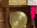 The gong, pictured here, was last seen on April 27 at the WRHN's cancer centre in Kitchener before it was reported stolen.