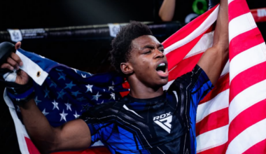 image provided by International Mixed Martial Arts Federation.
