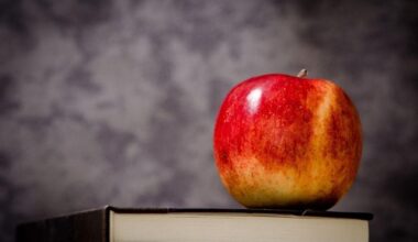 Surrey Schools expands student supports, lunch programs