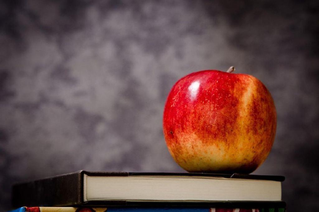 Surrey Schools expands student supports, lunch programs