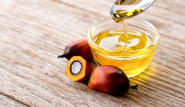 Malaysia's Phytogaia sets up grant to support local palm phytonutrient studies