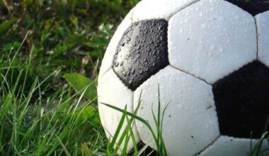 Boys soccer area scoring leaders for Sept. 15 – News-Herald
