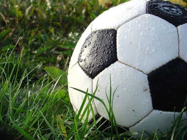 Boys soccer area scoring leaders for Sept. 15 – News-Herald