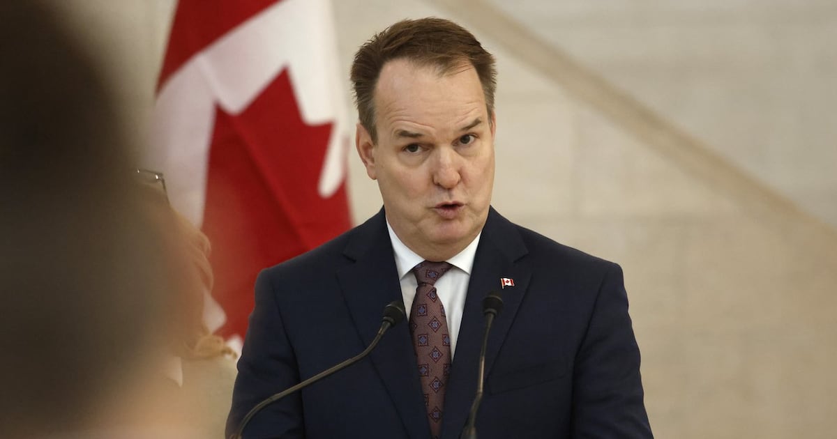 Transport minister won’t guarantee prices won’t go up after airport privatization, promises fees will be ‘partially regulated’ - ctvnews.ca