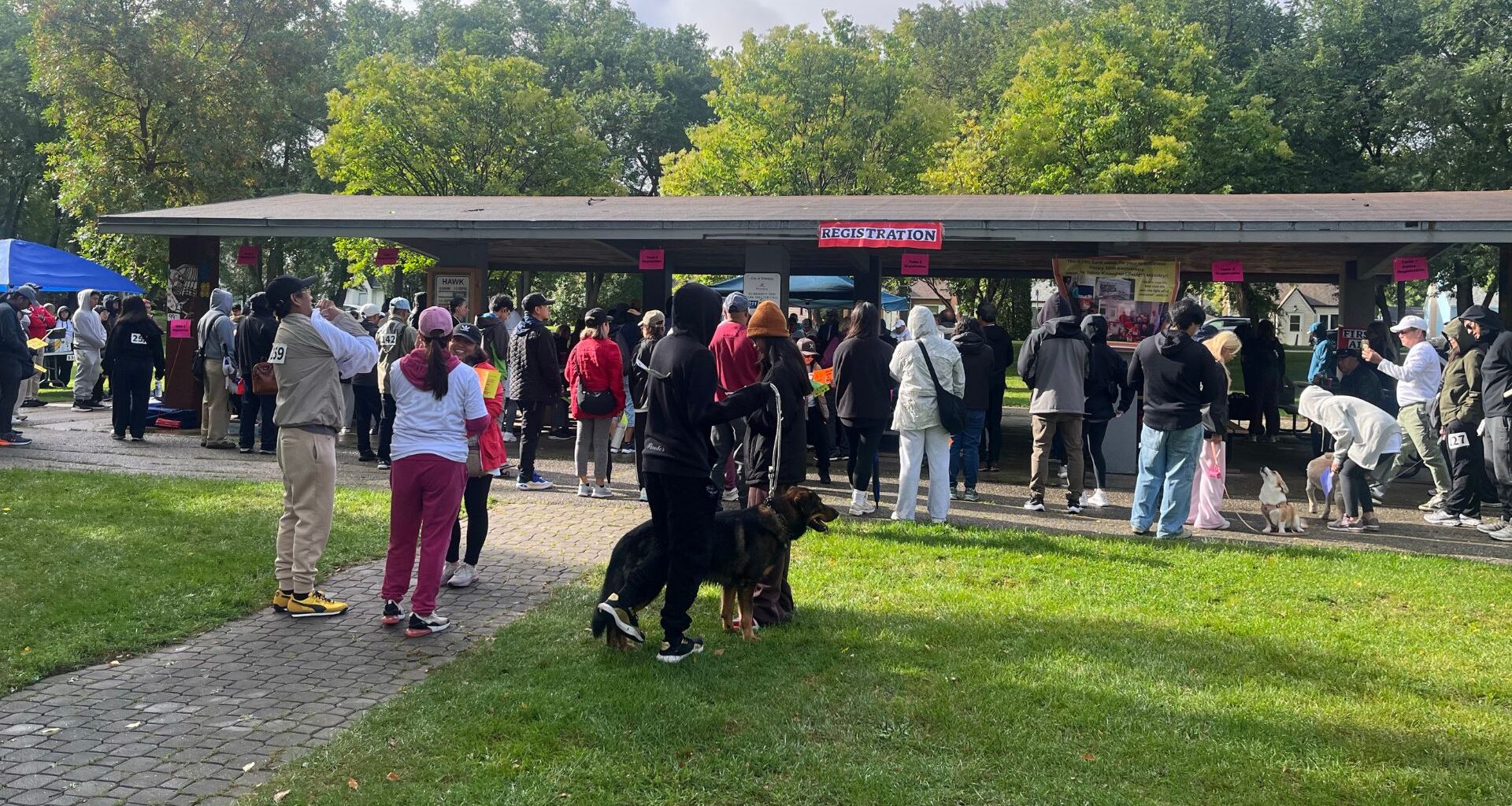 Over 100 people walk for Jesus in Winnipeg to share Bibles abroad