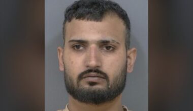 Brampton carjackings: suspect arrested
