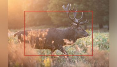 I’m a camera expert: Photographer calls APS-C vs full-frame “different looks,” and it changed my whole perspective