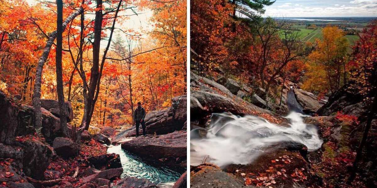 This stunning fall hike near Ottawa takes you through a red and gold forest to a hidden waterfall