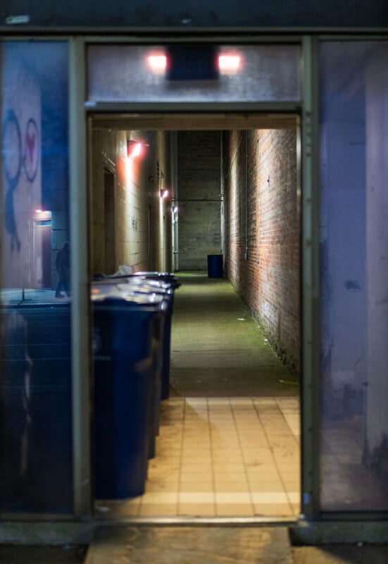 A view through a doorway into a narrow, dimly lit alleyway lined with blue trash bins and brick walls.