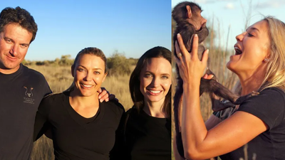 Angelina Jolie-backed wildlife sanctuary is fighting to save 217 animals in Namibia; lions, leopards and African wild dogs are at the centre