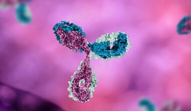 Study uncovers cellular mechanisms behind long-lasting antibody responses