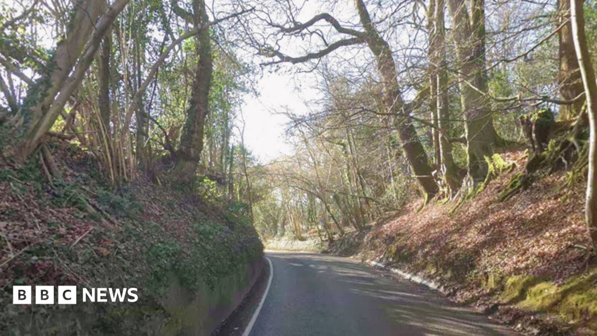 A country lane. Trees are on either side. It is narrow and windy.